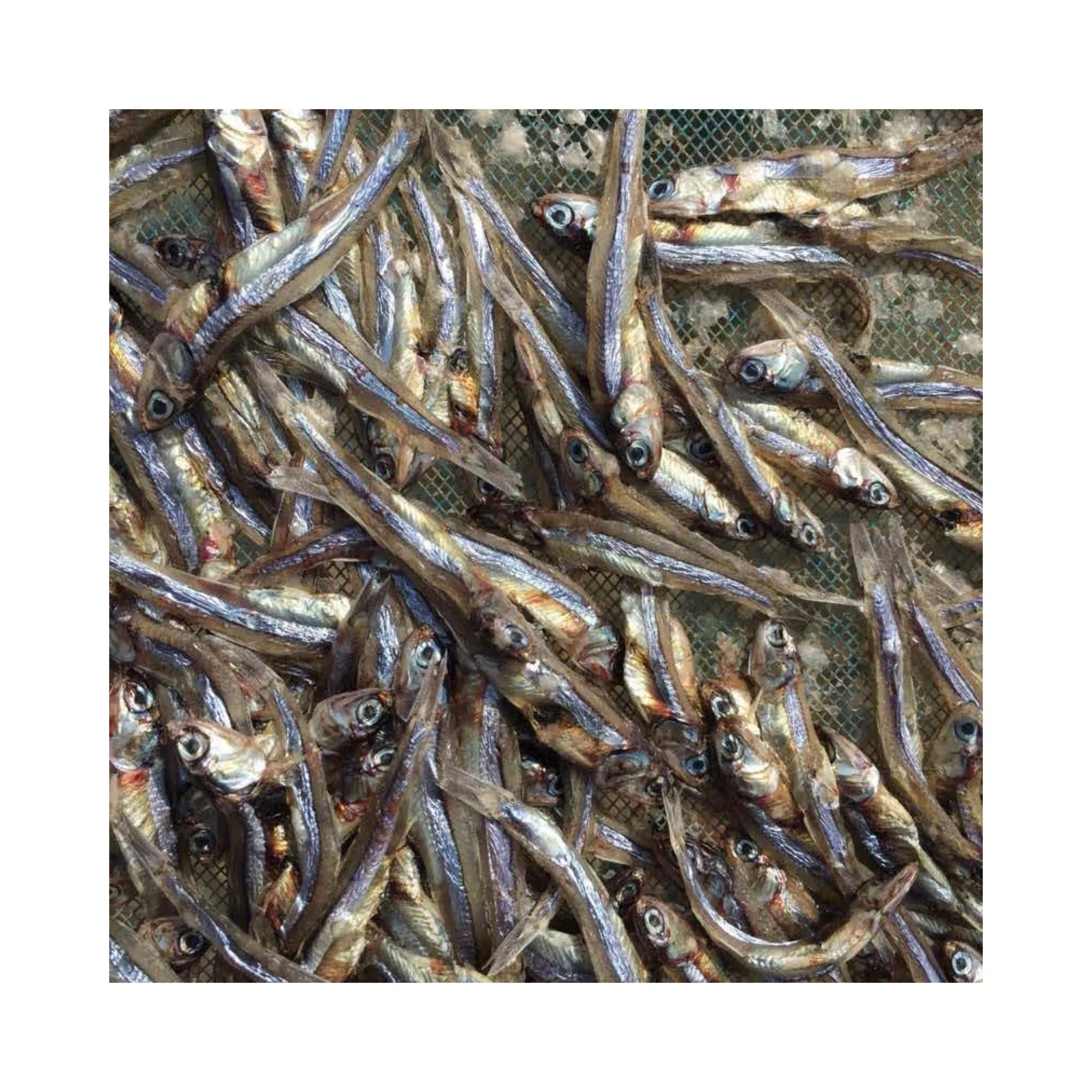 Vietnam No Preservatives Dried Anchovy / Dried Small Sprat / 99 Gold Data Ms. Elysia (WhatsApp: +84 789310321)