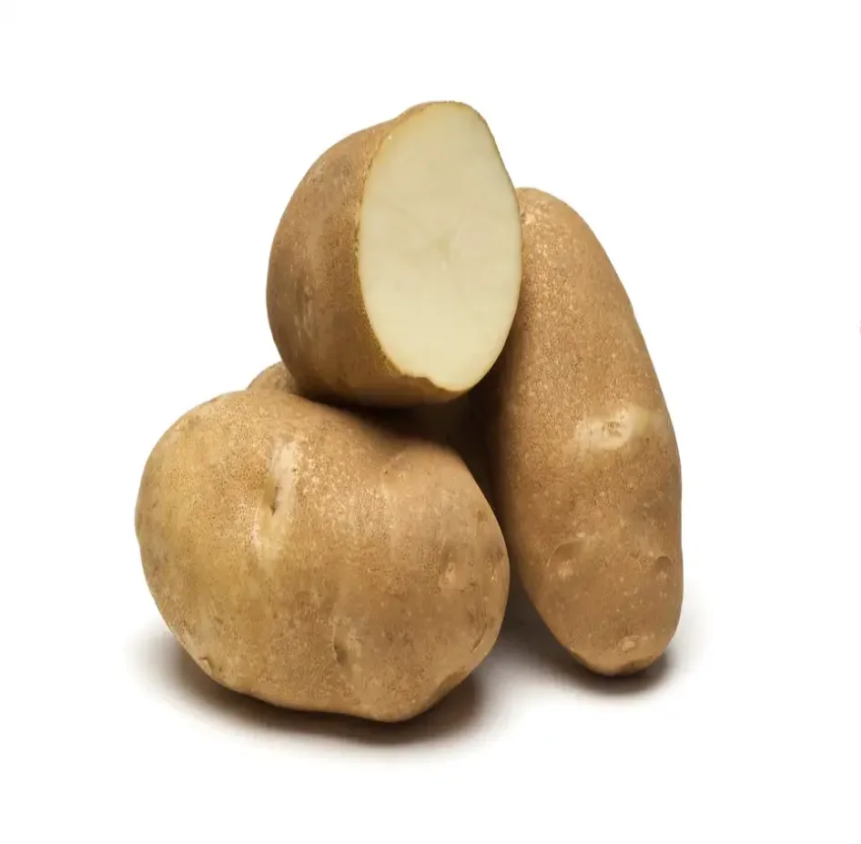 Premium Quality Of Fresh Potato and New Crop available with Competitive price