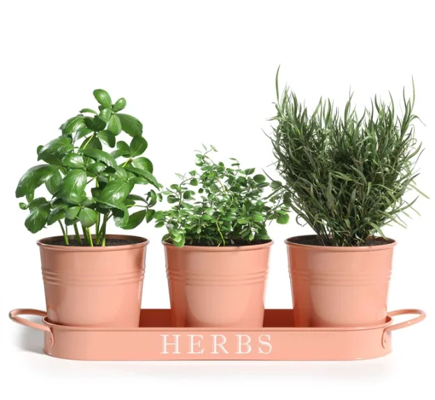 Home Decoration Items Custom planters and Small Pots For Flowering Countertop Or Window Side Eco Friendly Small Pots With Tray