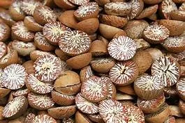 Хит продаж сушеные гайки Betel оптом по более