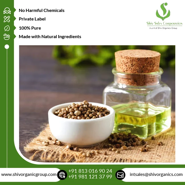 Good Quality Therapeutic Grade 100% Pure and Natural Cold Pressed Carrier Hempseed Oil from Indian Supplier