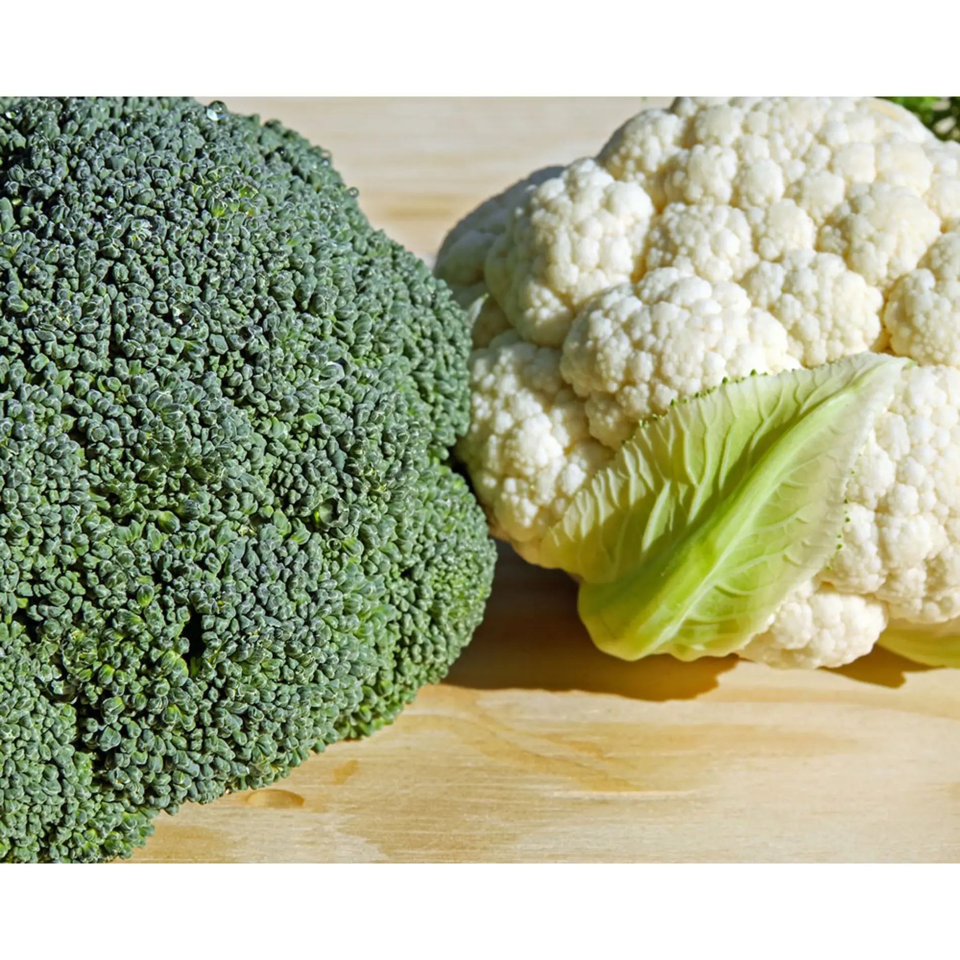 Cauliflower fresh vegetable export - Import