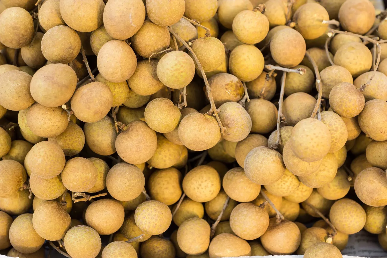 Premium Quality with Best Seller Frozen Longan (seed-in) Agriculture Product from Thailand