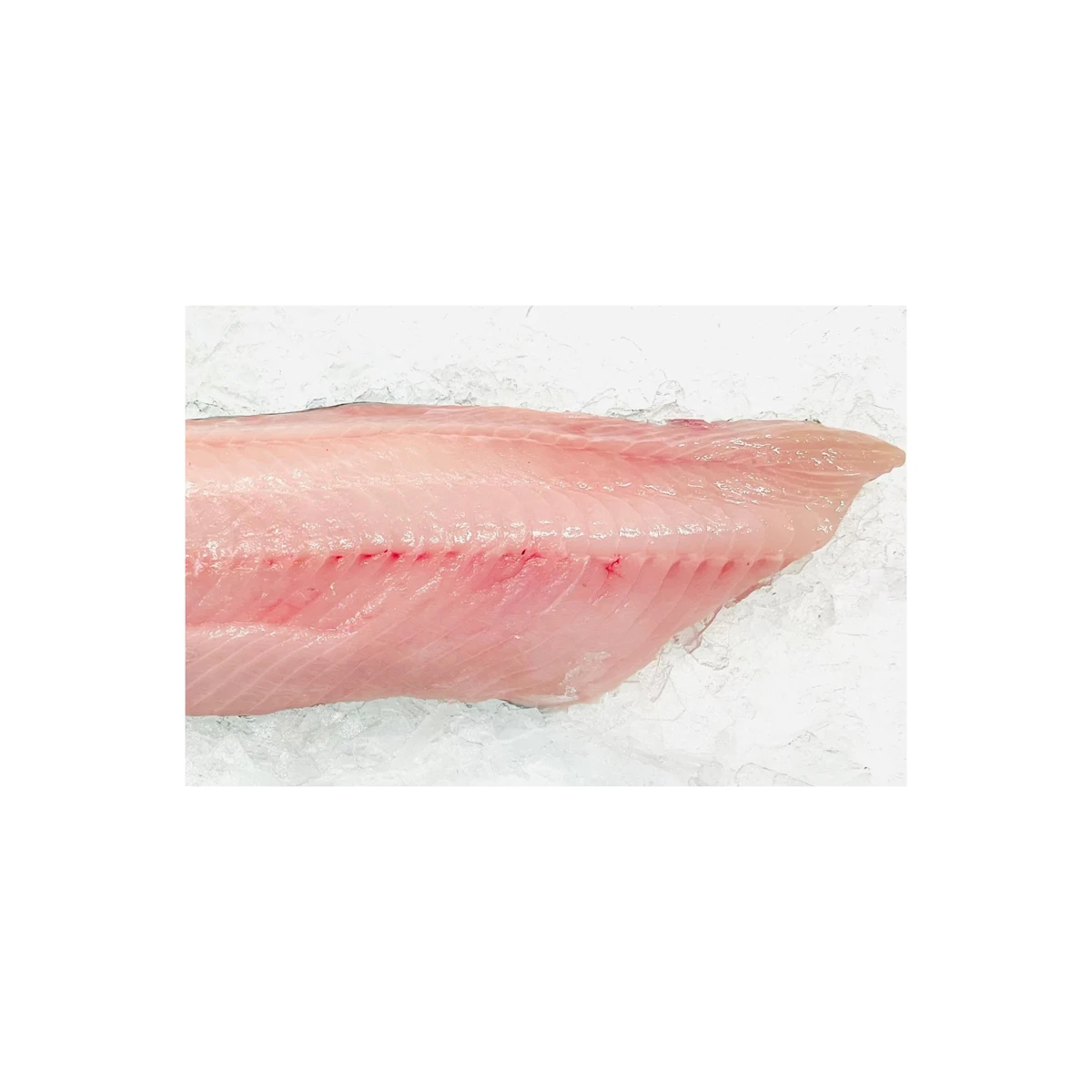 High Quality Fresh Cod Fillets For Sale Wholesale Frozen