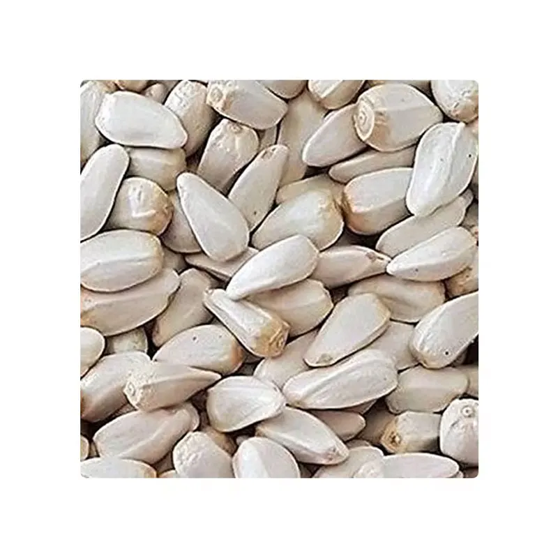 Natural Vitamins Protein Enriched Safflower Seeds 100% Natural Immunity Booster For Pet