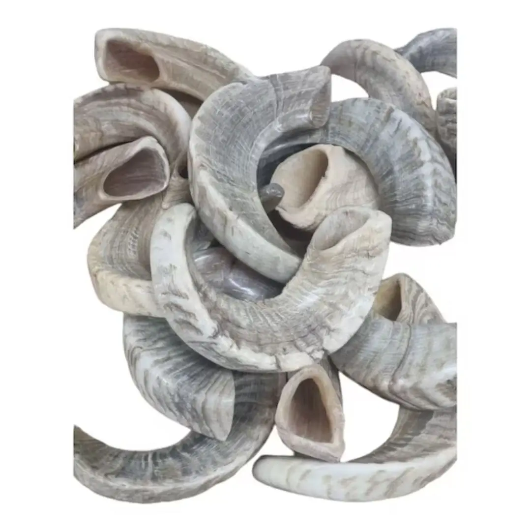 Wholesale Natural Ram Horn Dog Chew Cheap Sales Wholesale Lamp For Sale Best Quality Wholesale By NHE Overseas In India