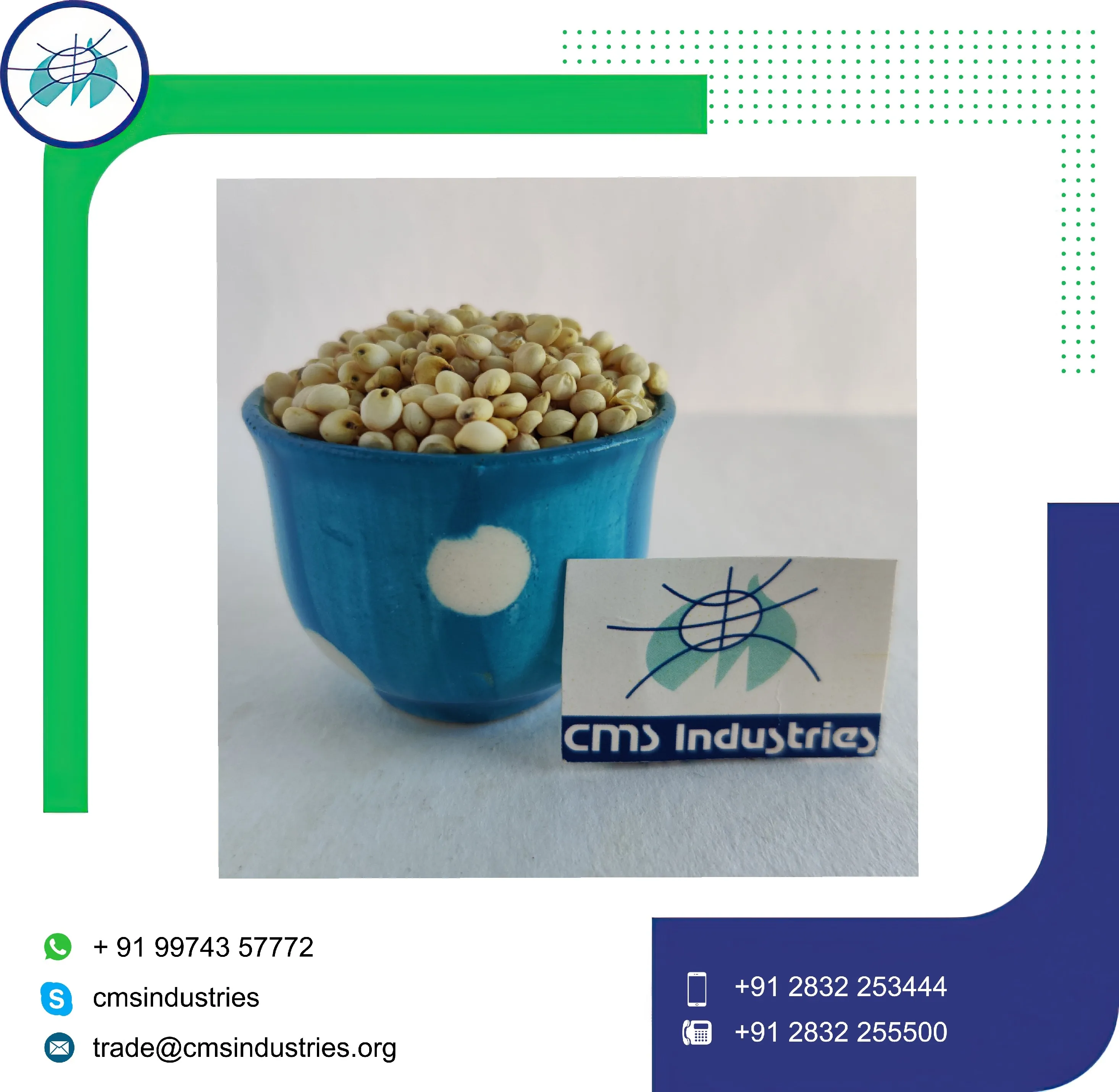 Indian Product Exclusive Quality Sorghum for Bird