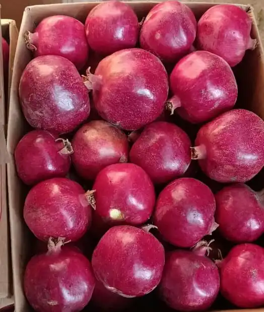 Свежий гранат