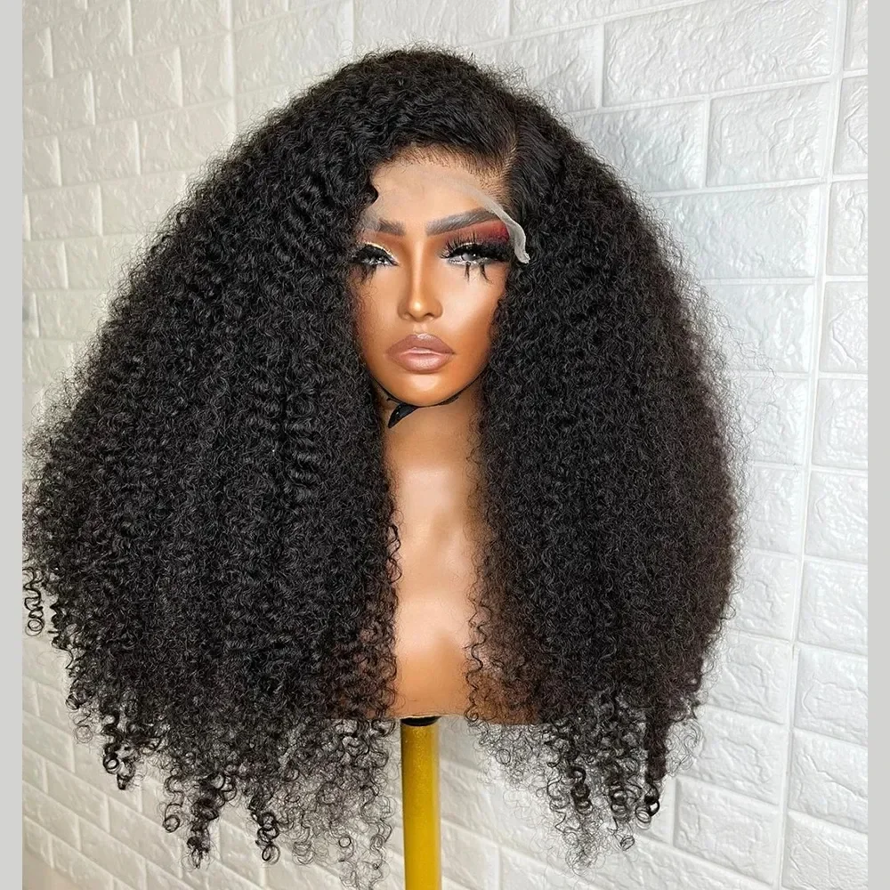 Indian Afro Kinky Curly Human Hair Wigs For Black Women Wholesale Cheap Wigs 13X4 HD Raw Indian Temple Hair Wig