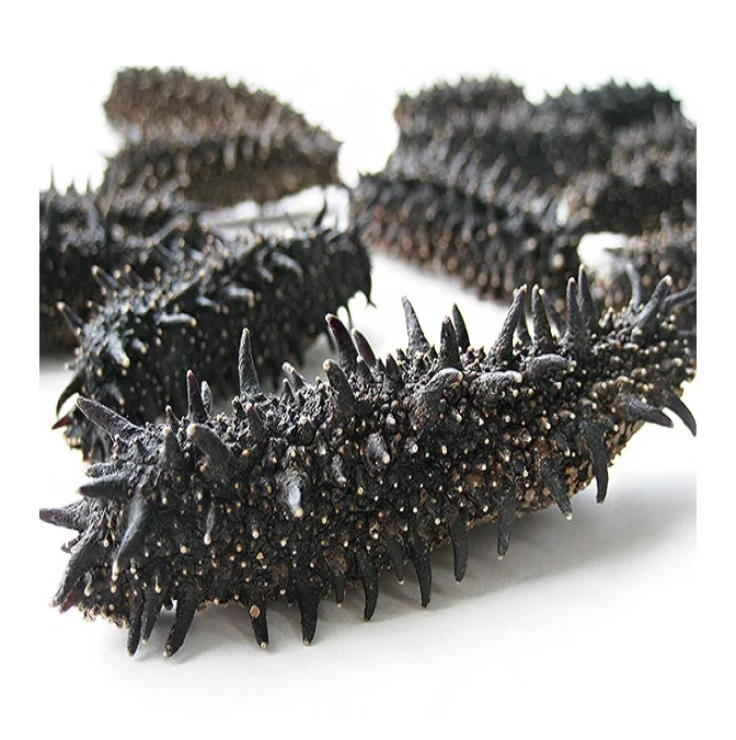 Factory Supply Bulk Wholesale Price Top Quality Dried Sea Cucumber (Seafood) Available For Sale