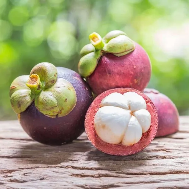 High Quality and Reasonable Prices Fresh Mangosteen from Viet Nam for wholesaler and for buyer (+84983028718)