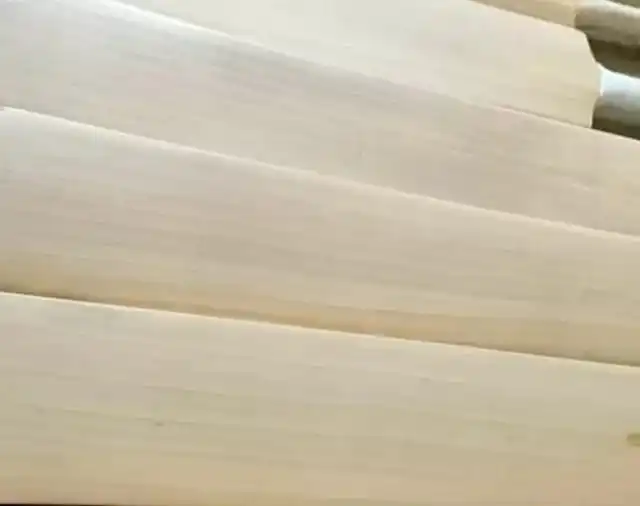 Cricket Bat made with best quality wooden