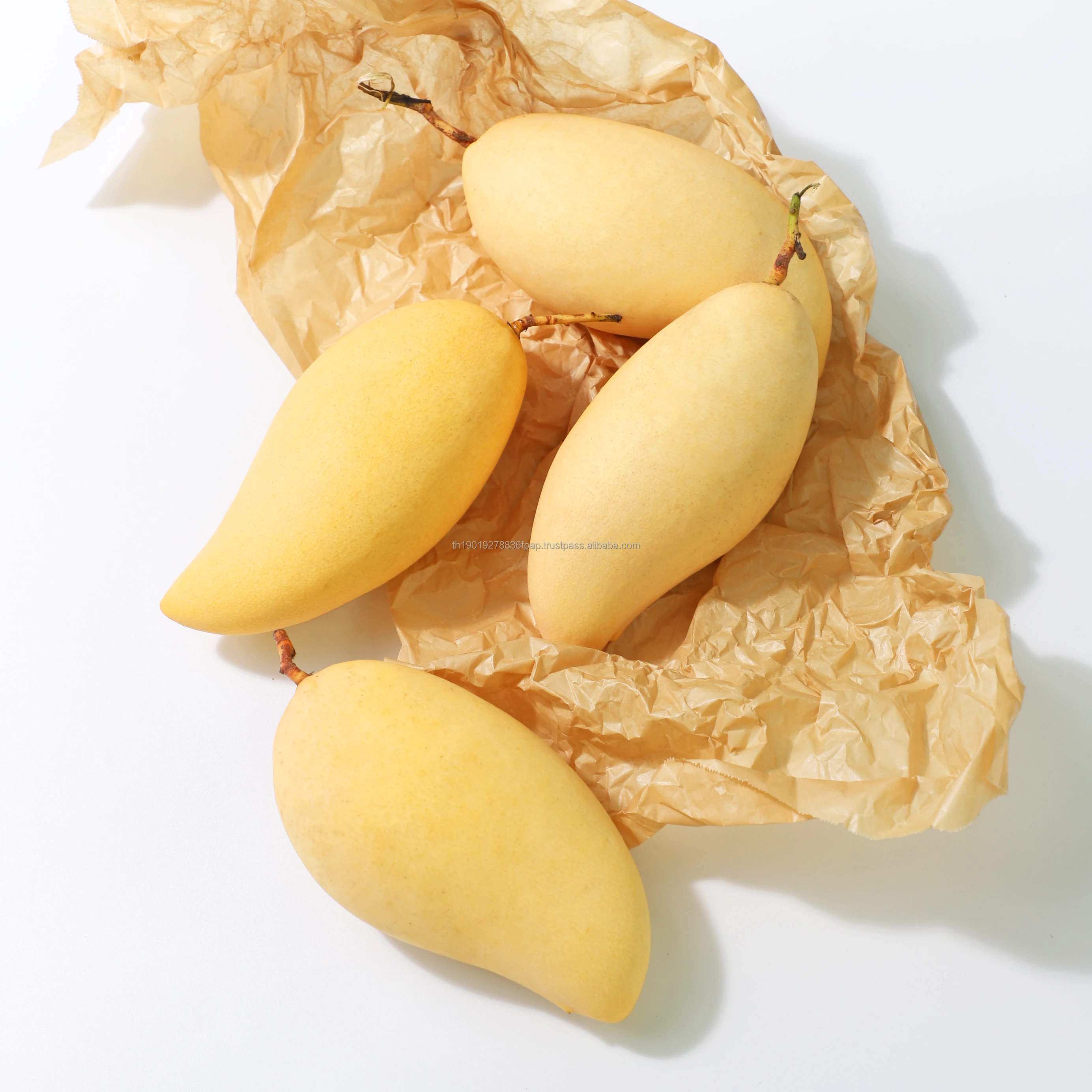 Fresh mangoes produced in Vietnam with high quality for export to Europe and Asia