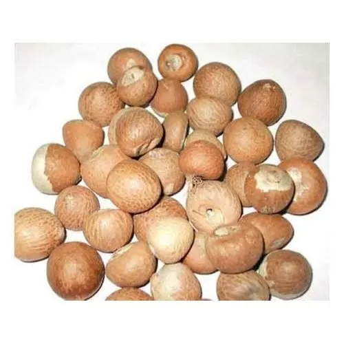 Top Quality Betel Nuts At Wholesale Prices From India