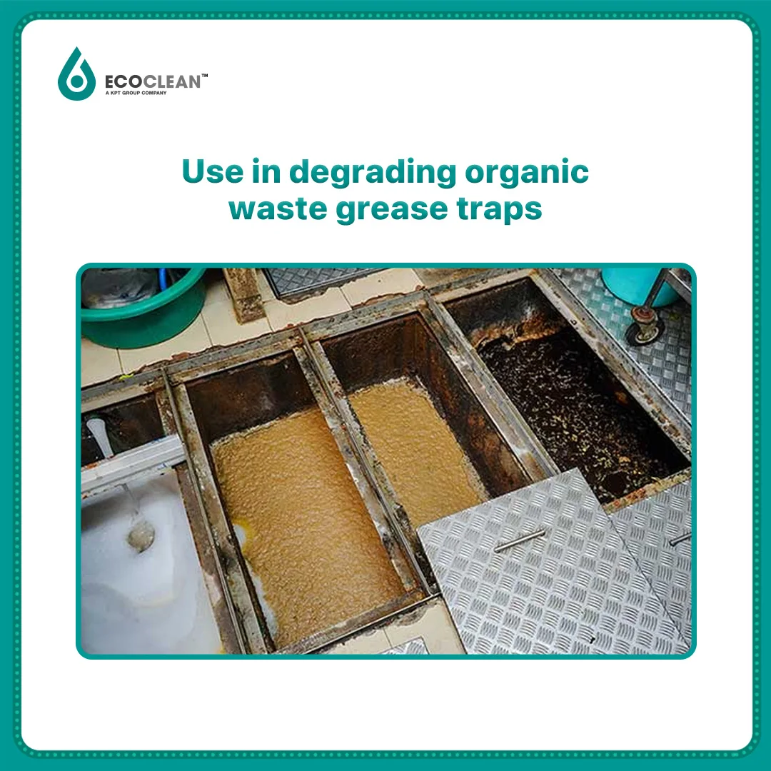 Grease Trap Treatment Bacteria Block for Grease Trap in Hotel Restaurant Resort Mall School Biological Chemical Products