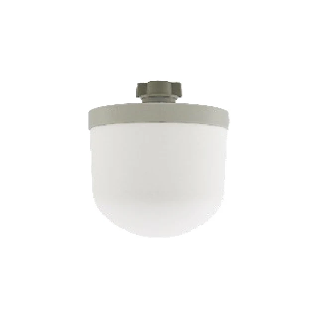 PURISYS Ceramic Dome Filter In Korea Best Selling Product Traps contaminants bacteria spores cysts and parasites