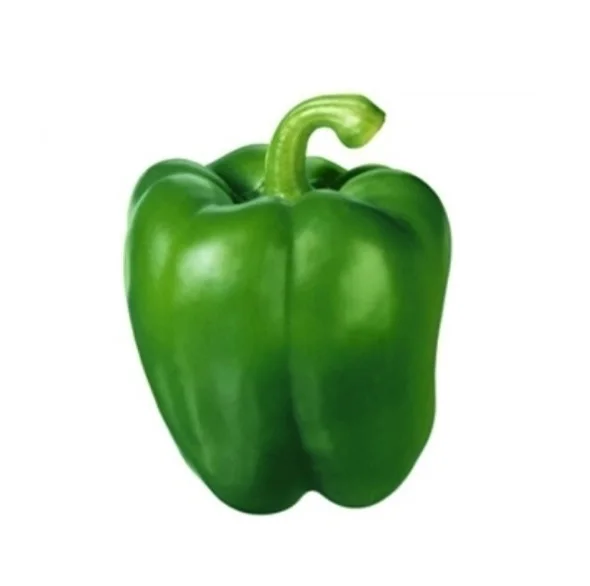 fresh pepper , FRESH CAPSICUM , bell pepper