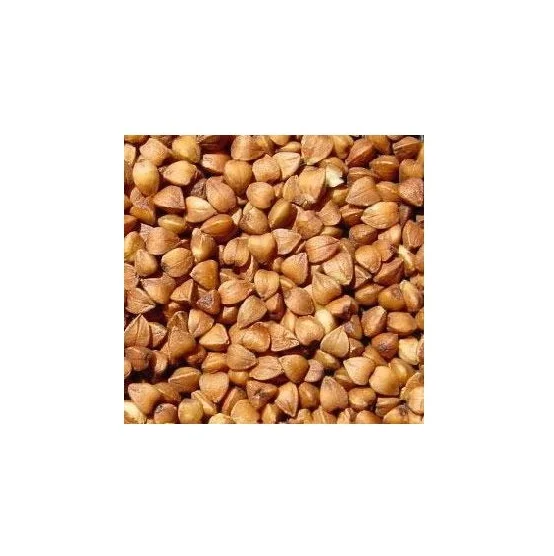 Organic buckwheat kernel /buckwheat seed / buckwheat hull For Sale