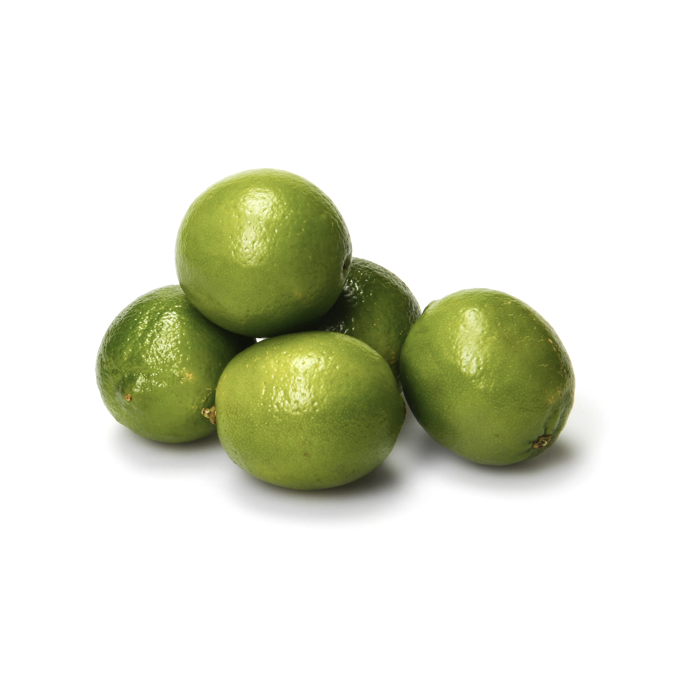 Wholesale Organic Green Lemon GREEN LIME SEEDLESS LIME
