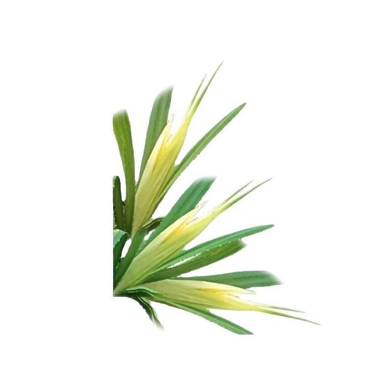 Flowery Aroma Kewra Oil, оптовая продажа, высшее качество, разумная цена для парфюмерной промышленности от ведущего экспортера мирового поставщика