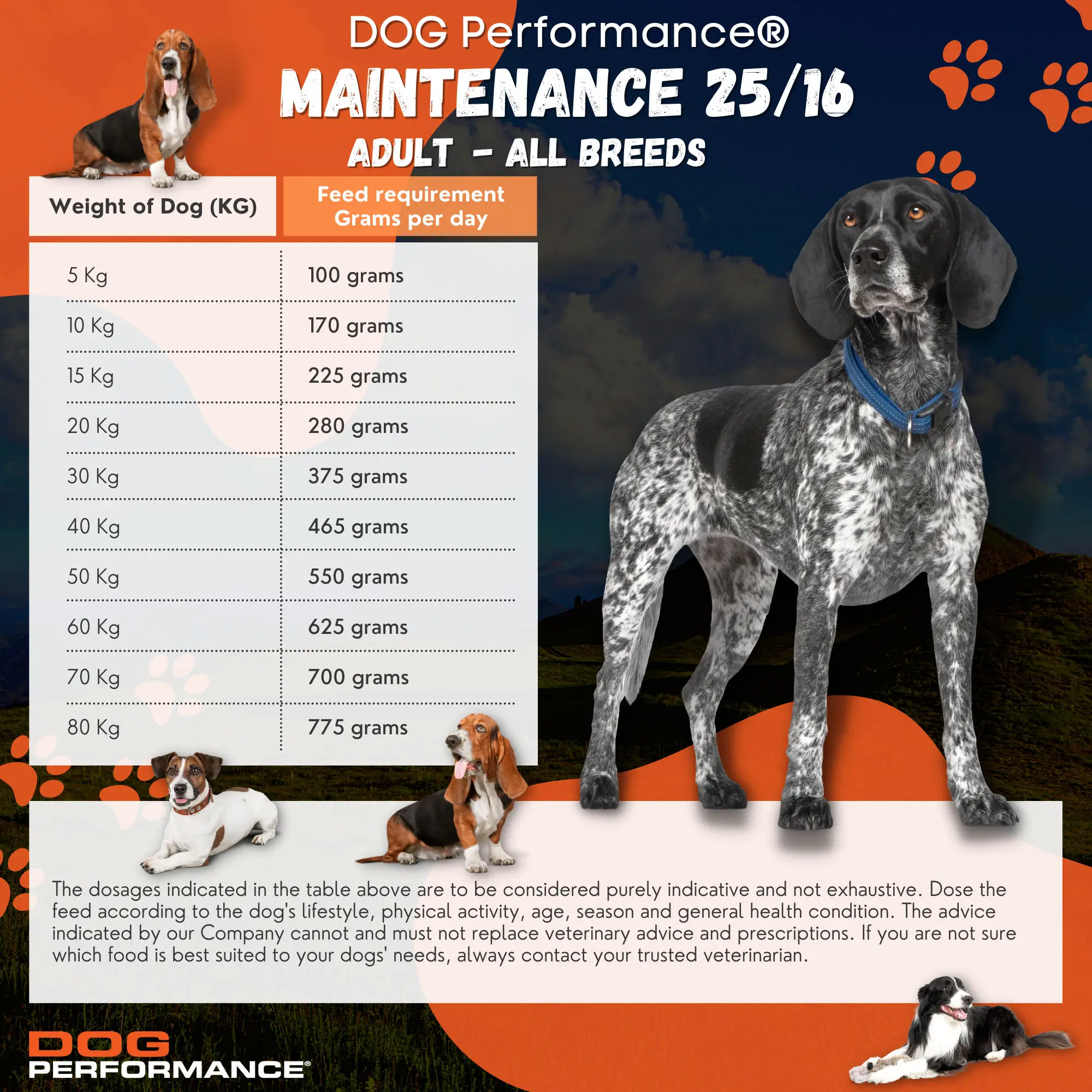 Superior Dog Performance Adult Blend - Tuna and 25/16 Rice 30 kg - Consistent Quality for Peak Performance