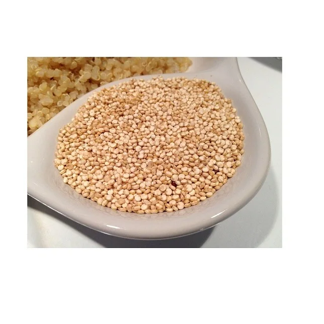 Wholesale Supplier of Organic Seeds White Quinoa Grains Health care Grains Seafood Bulk Quantity Ready For Export