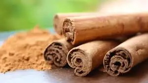Single Spices & Herbs Export Selling Ceylon Cinnamon Sticks Exquisite Spice for Authentic Cuisine Available for Sale from India