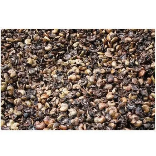 Cashew Shell Residue (CNSW) | Cashew Nut Shell Extraction(CNSE) | CASHEW NUT SHELL LIQUID (CNSL)