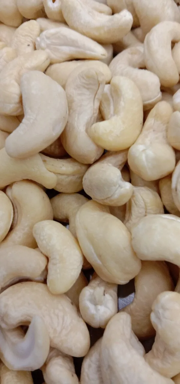 VIETNAM WHOLE CASHEW NUT WW320/ WW240/ WW180  Good Price High Quality For Middle East Market