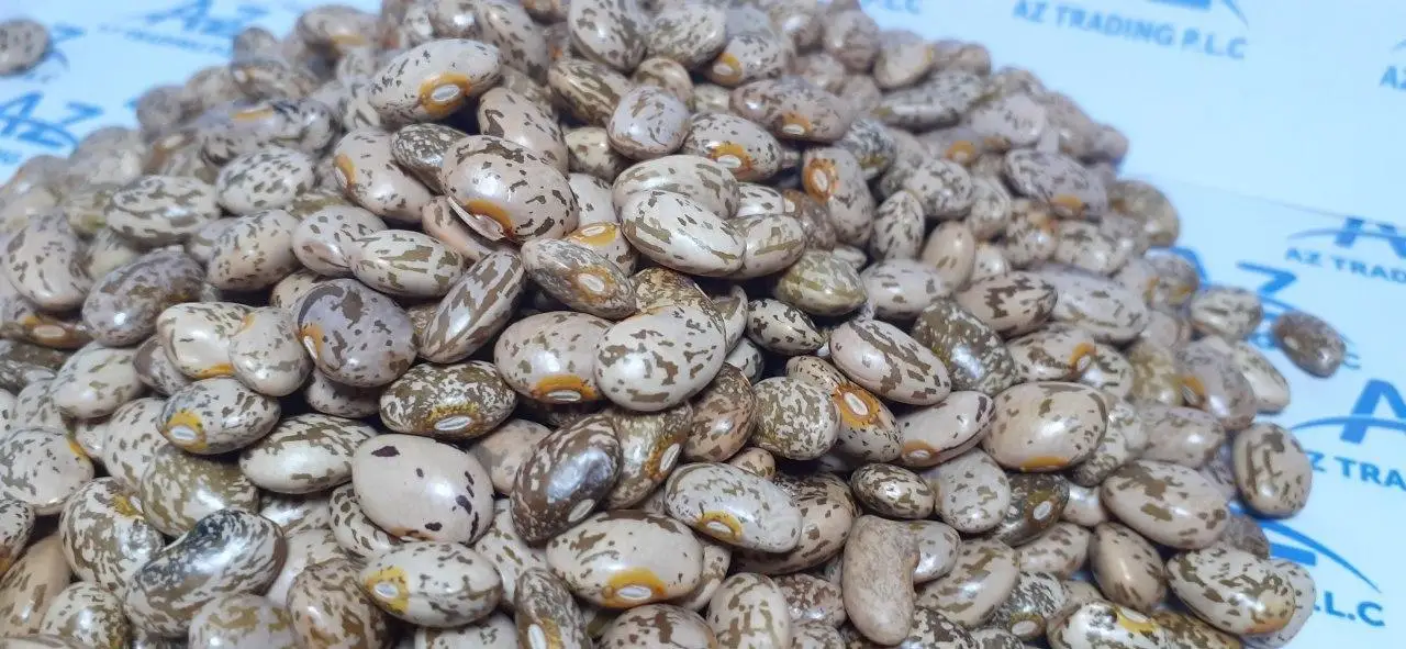 Factory Direct Sale: High-Quality 2024 Pinto Beans, All Sizes Available Premium Quality Bulk Quantity