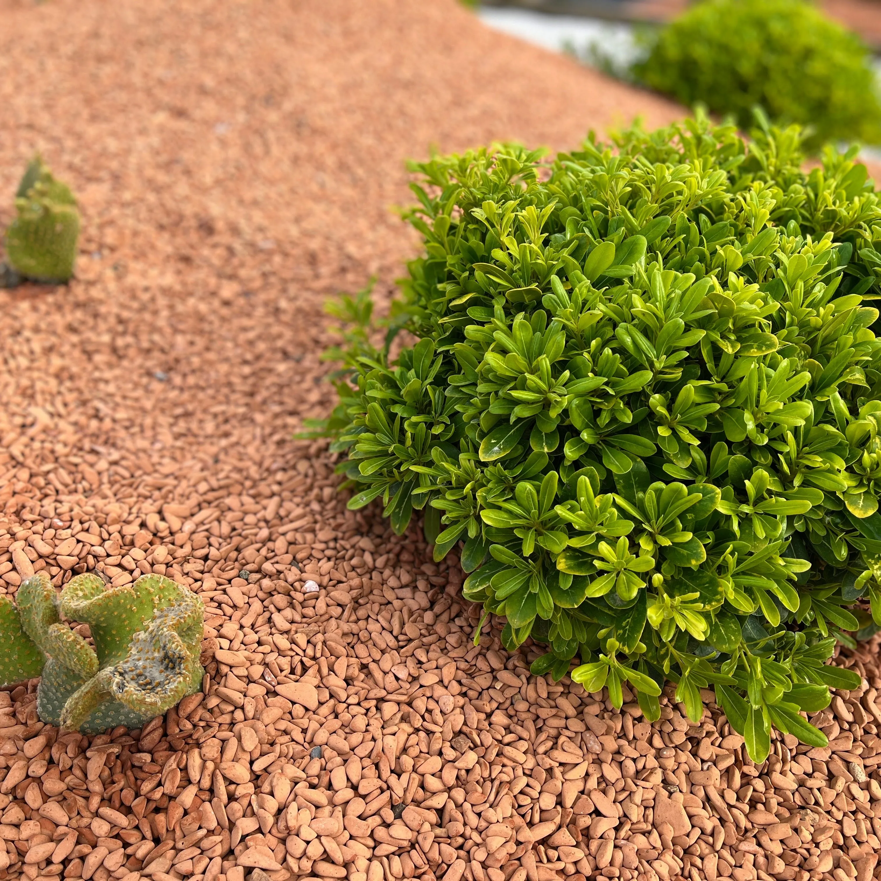 Orange ceramic pebbles Garden Decoration Landscaping Japanese Garden Absorbent aggregate expanded clay