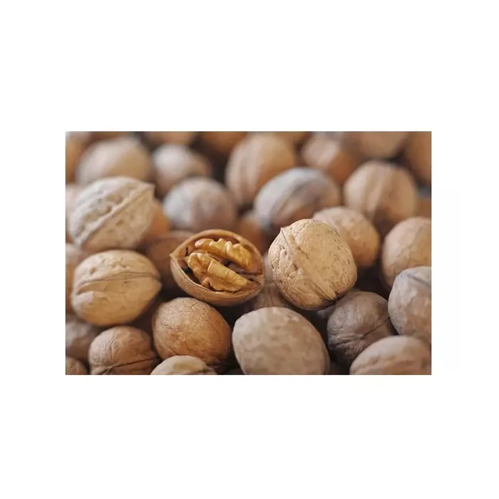 Wholesale Top Quality Walnuts In Cheap Price