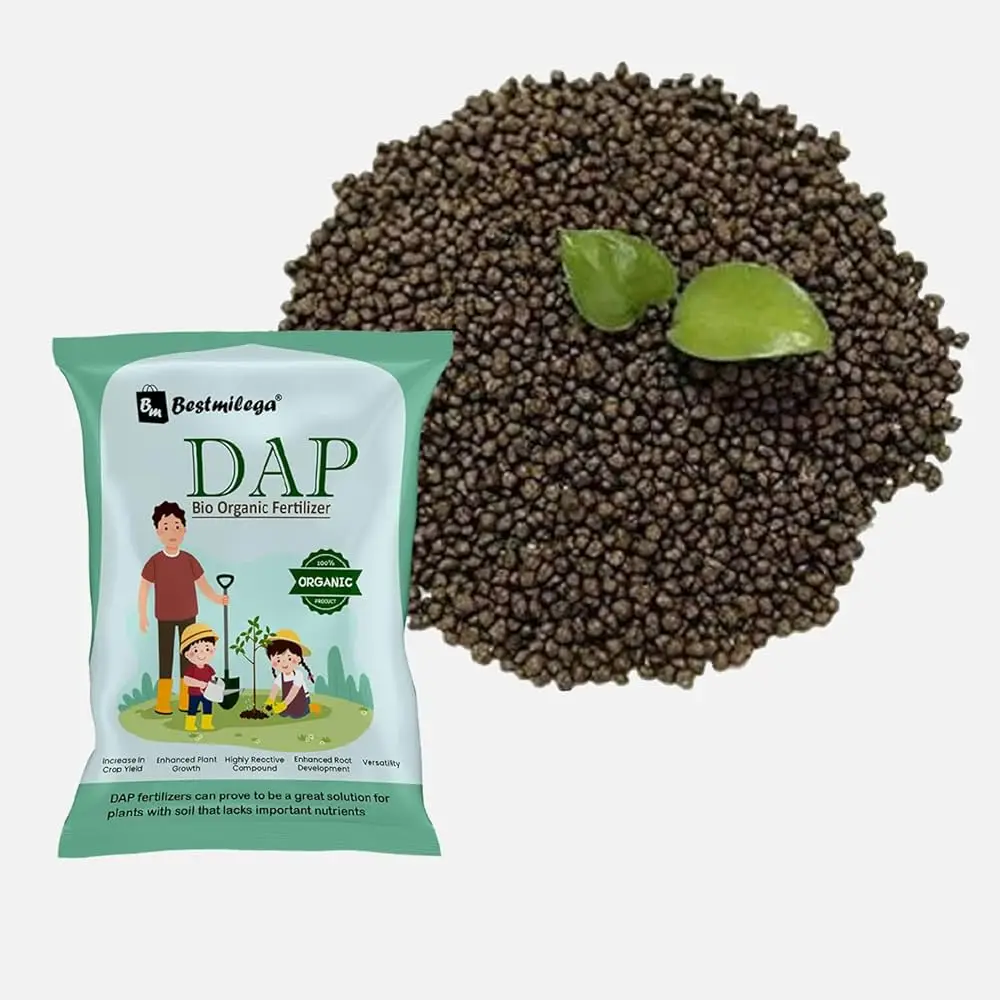Cheap Price High Quality Agriculture Plant Humic Acid Organic Granular Fertilizer