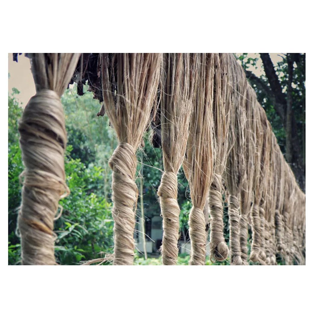 Golden Fiber Raw Tossa Jute Nature Color 100% Pure Cheapest Natural Fiber Wholesale Exportable Tossa Raw Jute From Bangladesh