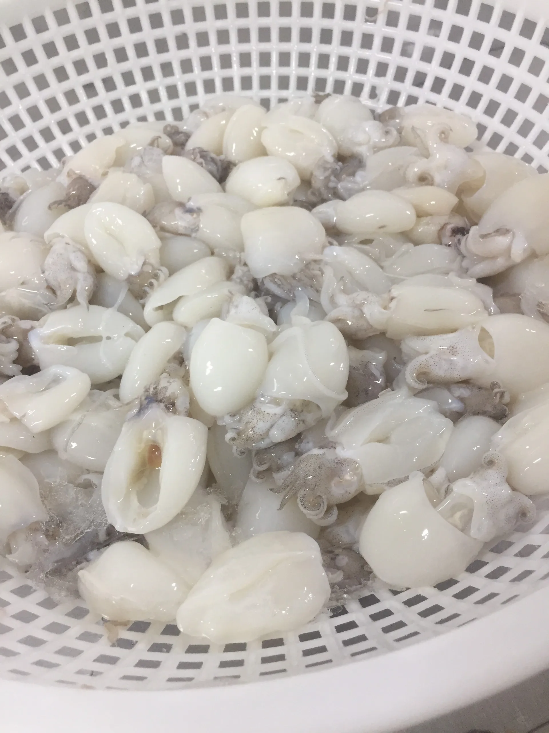 Seafood Supplier Ingredients Price Affordable Logo Package Custom Support Frozen Cuttlefish +84792840198 Whatsapp