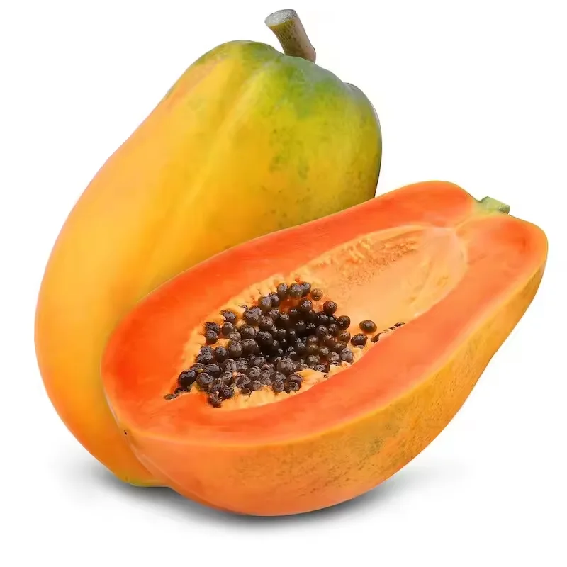 Hot Selling Papaya Seed Oil with Pure Natural Grade Bulk Suppliers Papaya Seed Oil For Sale By Indian Exporters