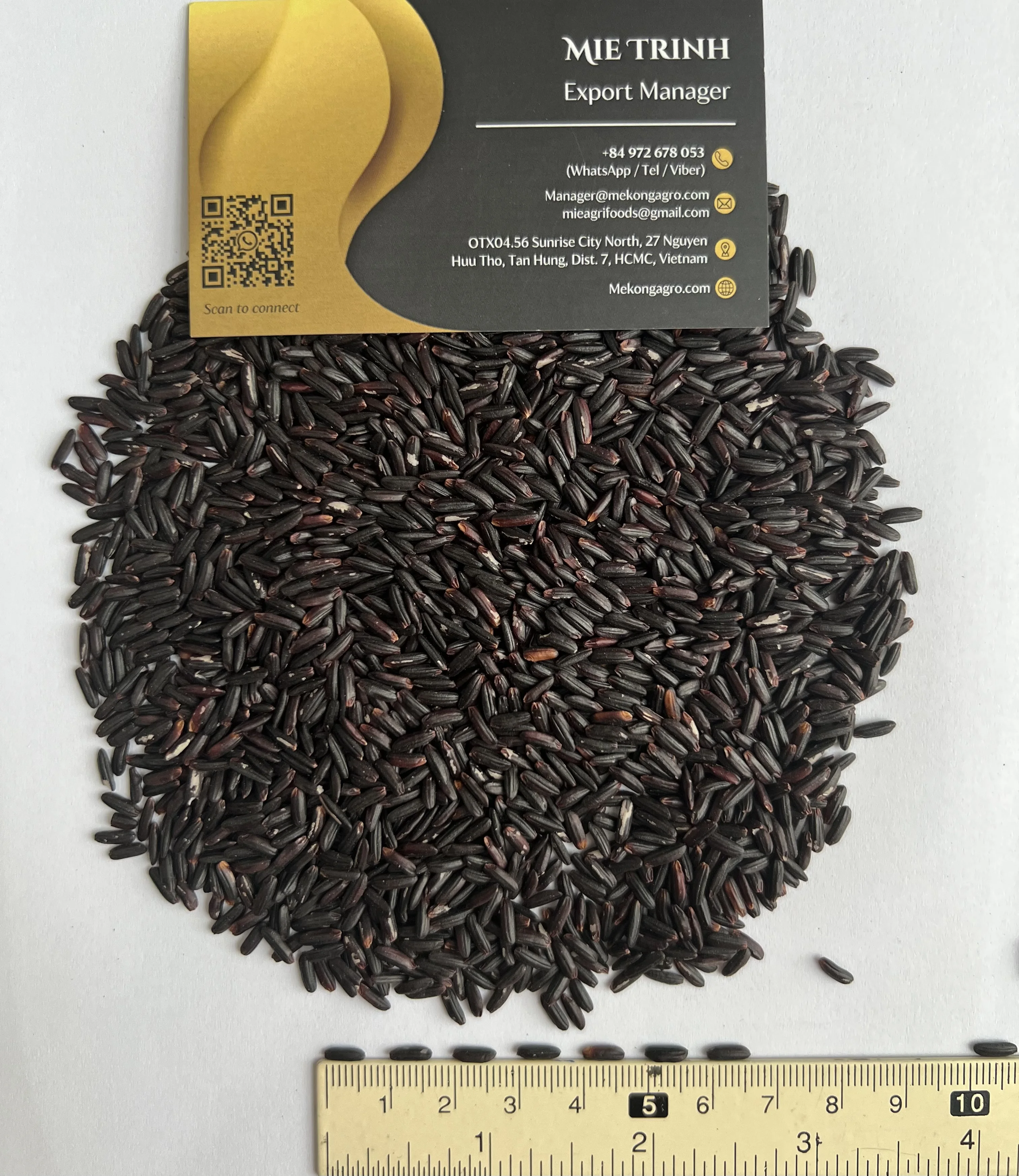 BLACK STICKY RICE new crop export by SOUTH MEKONG VIETNAM