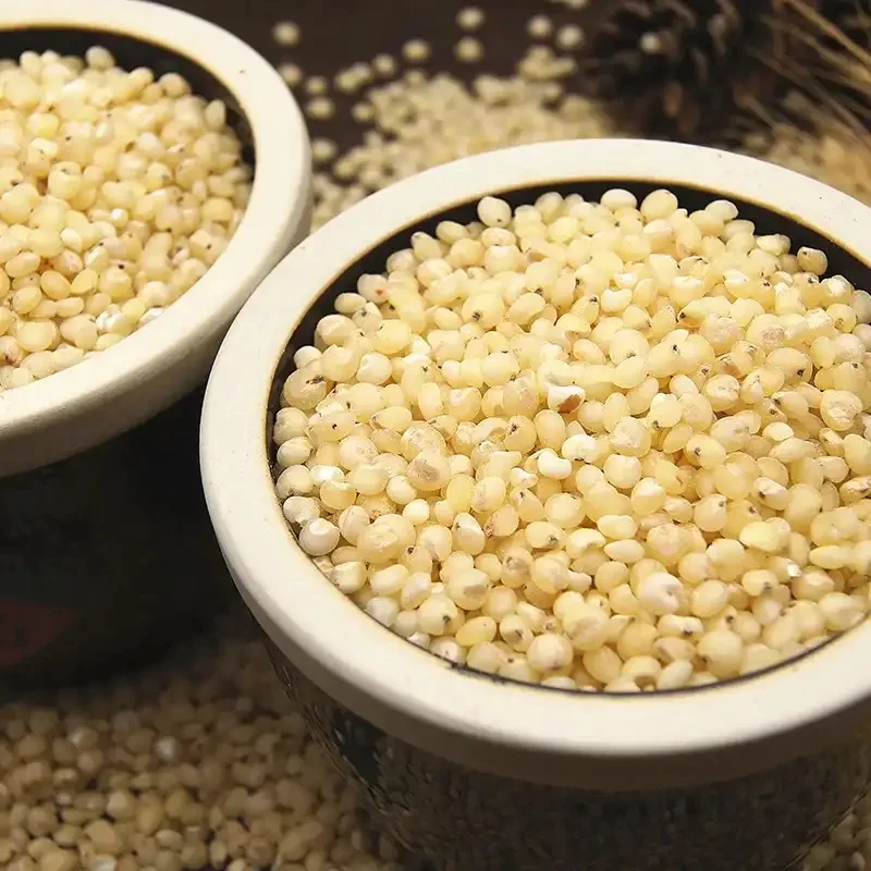 White Milo Sorghum Grains Sorghum Price Per Ton