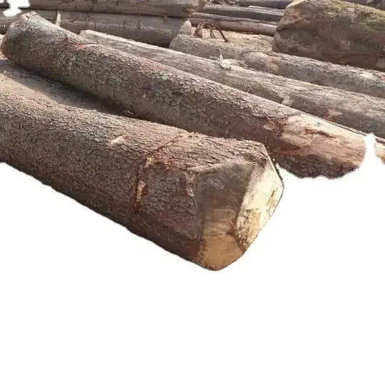 Оптовая продажа бревна из тикового дерева по лучшей цене массивные красного цвета подходящие для промышленного использования