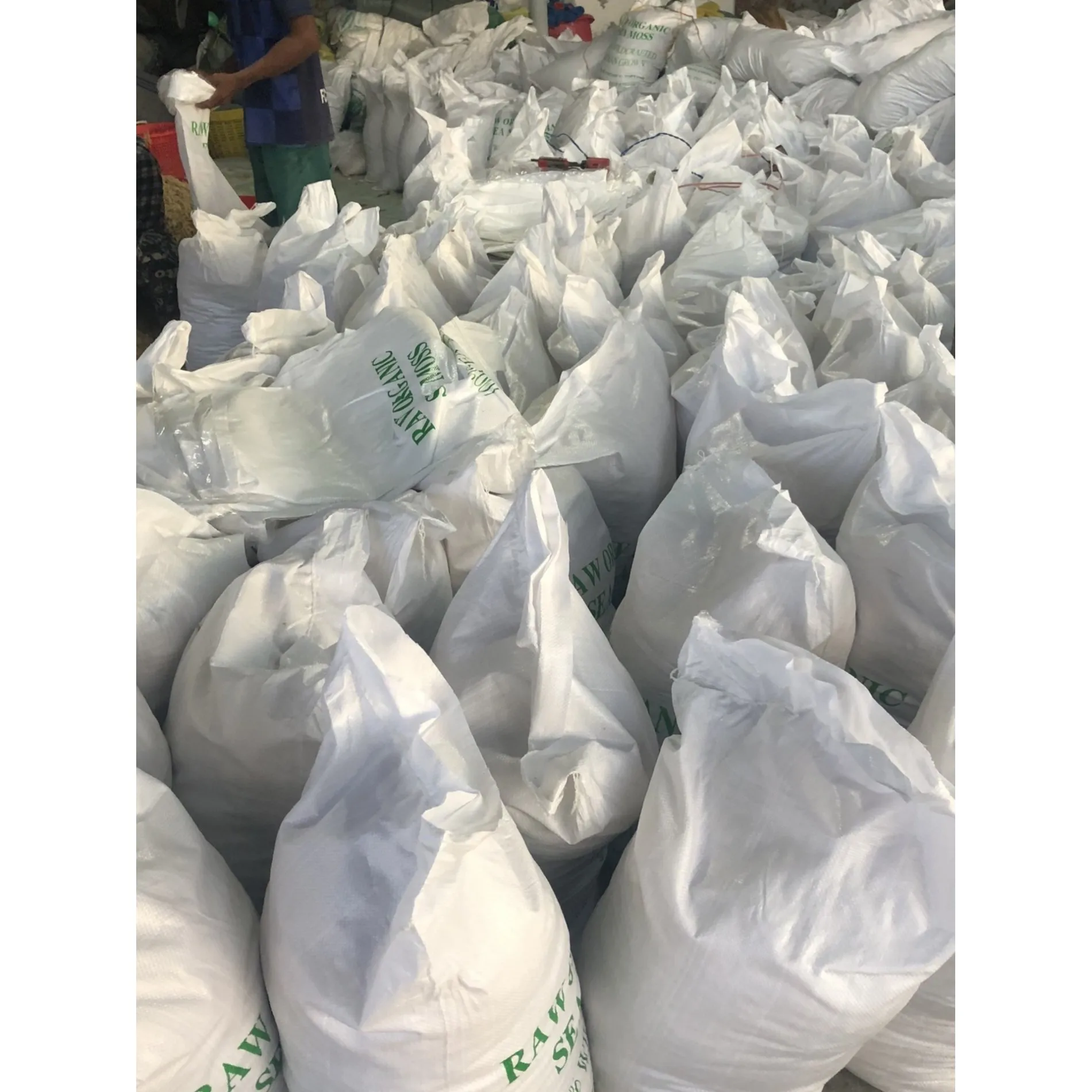 HIGH QUALITY DRIED WHITE SEAMOSS BEST SELL NATURAL SEAMOSS FROM ATL GLOBAL