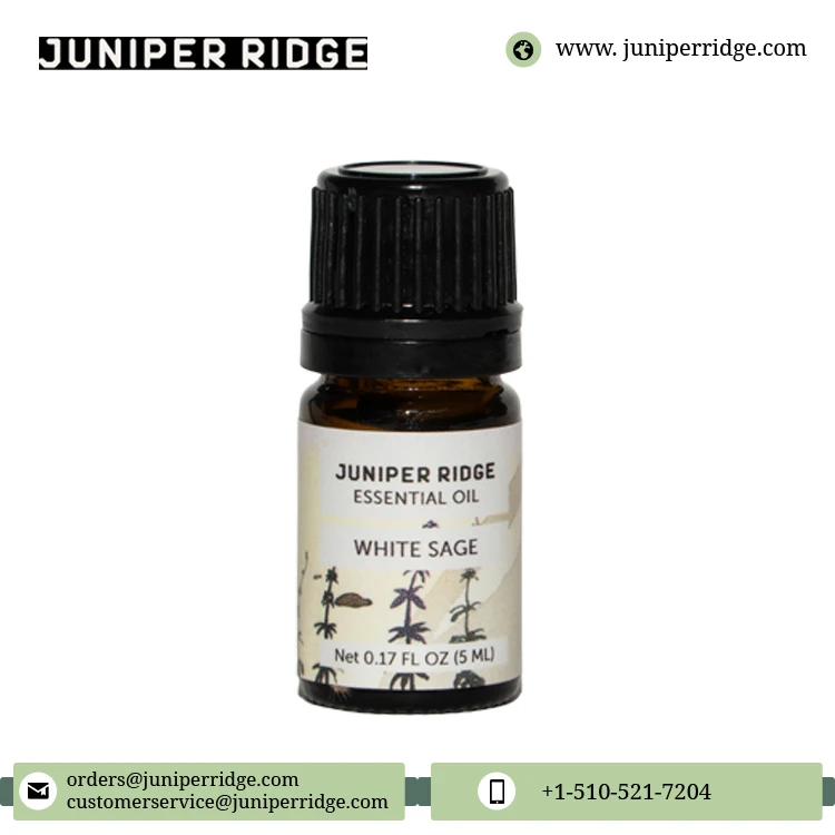 Exporting High Quality Organic and Natural Aromatherapy White Sage Essential Oil - 5 ml for Wholesale Purchase