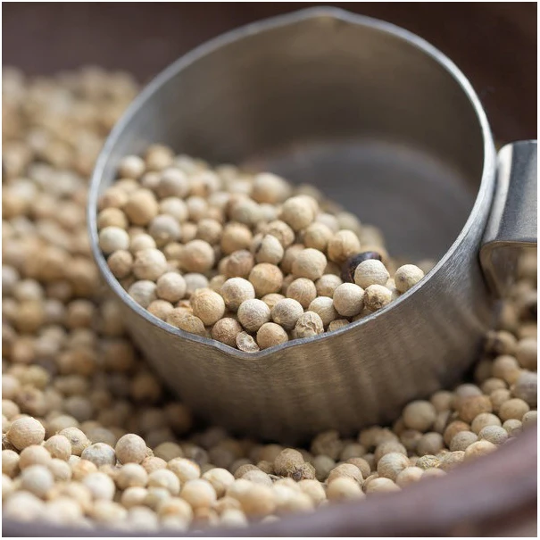 High Quality Dried White Pepper Seeds Herb Spice Best Price Wholesales Hot Spicy Taste MOQ 50kg