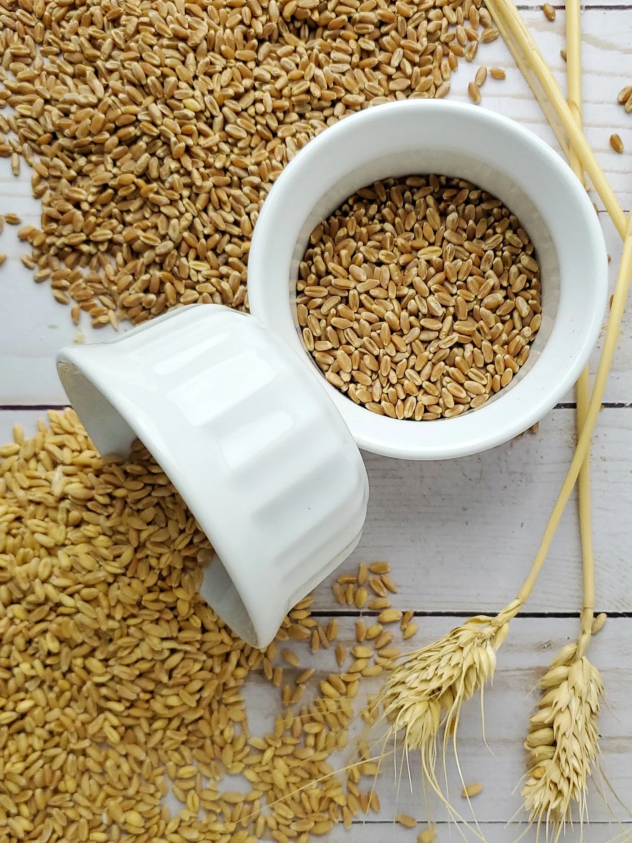 Soft and Hard Wheat Grains / Premium Quality Soft Milling Wheat, wheat grain in bulk for sale