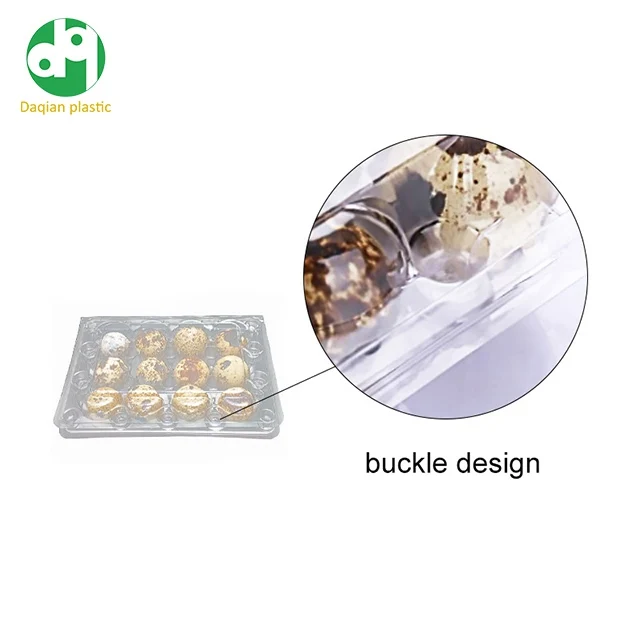 Disposable Quail Egg trays 6/12/24/30 cells clear PET plastic eggs container