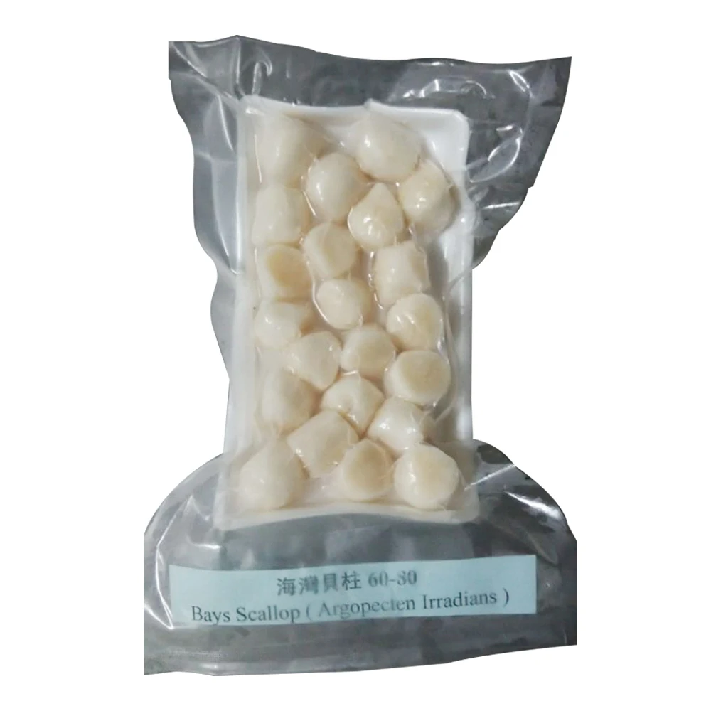 Wholesale Delicious Seafood Frozen Sea Scallop With Half Shell