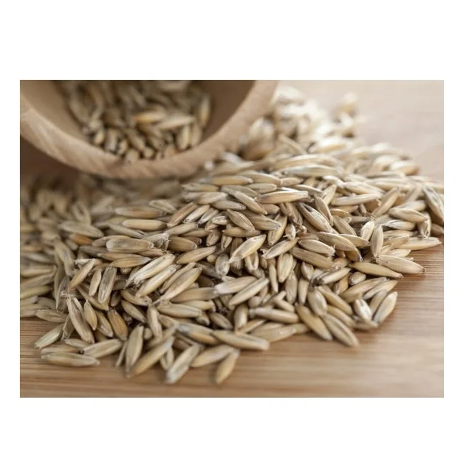 Wholesale Price Supplier of Organic Rye Grains Bulk Stock With Fast Shipping