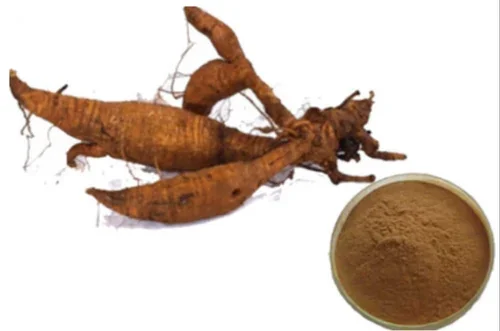 Reasonable Prices Kudzu Extract with 100% Pure Natural Grade Bulk Quantity Kudzu Extract For Sale By Exporters