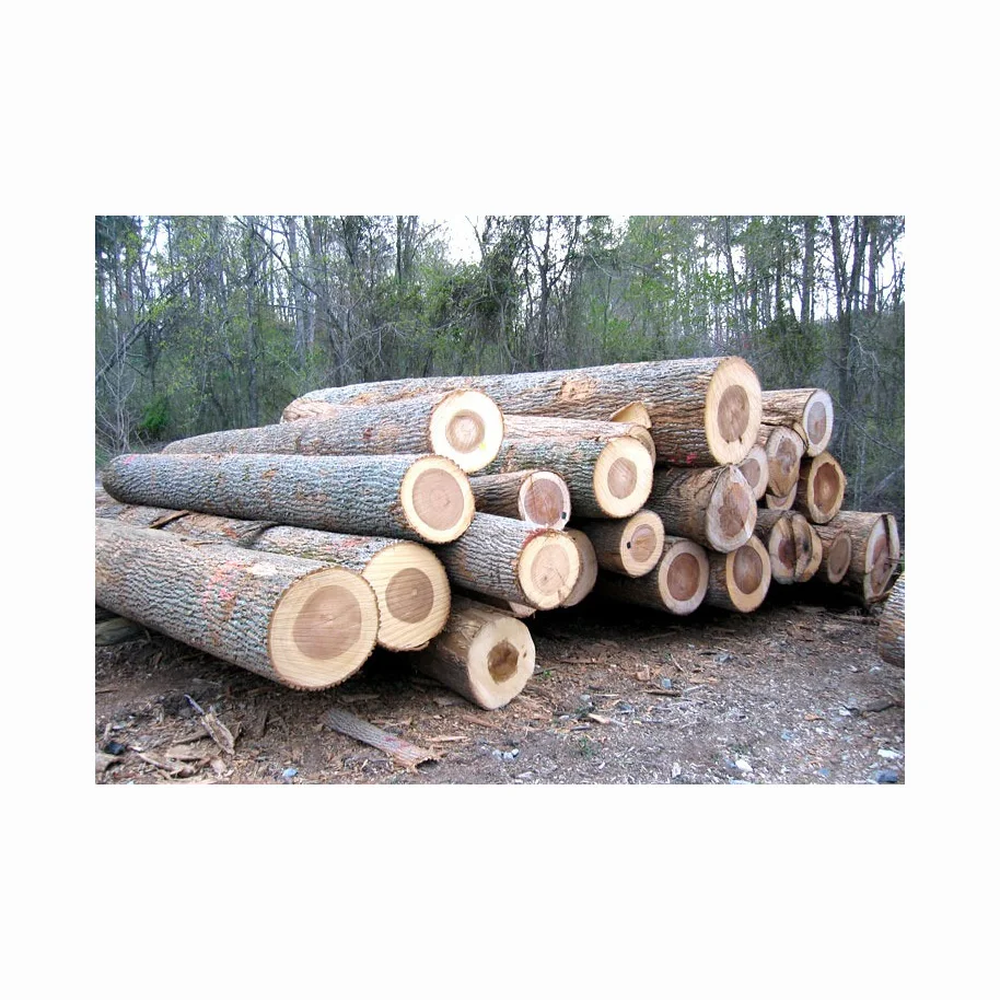 Top Grade Cheap Maple Logs, Luan, Ayous wood, Walnut Fancy Wood Veneered Plywood Prices Maple, Luan Ash Walnut Ayous wood Log