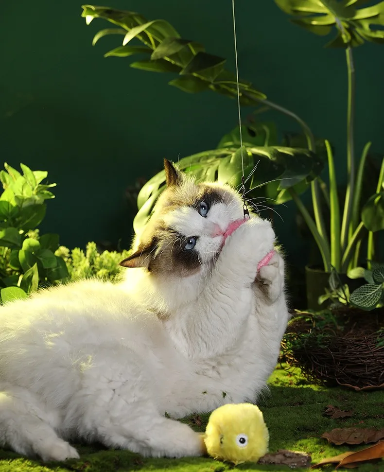 Wholesale Funny Automatic Sound By Touch Plush Cat Catnip Toy Gravity Calling Interactive Cat Toy Ball