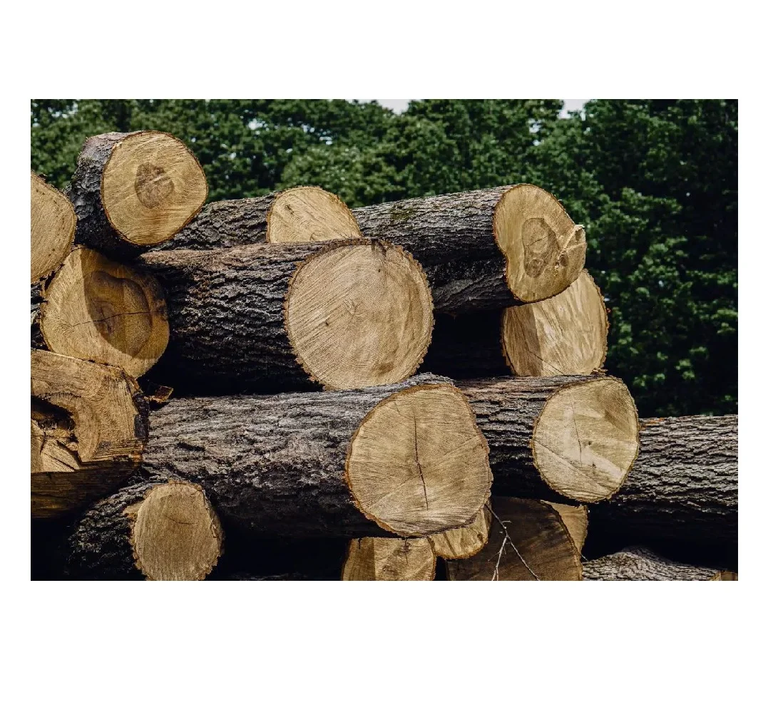 Top Grade Teak Wood Timber Bulk Quality Dry Round Teak Logs Durable Natural Teak Wood Logs Timber For Sale in best price